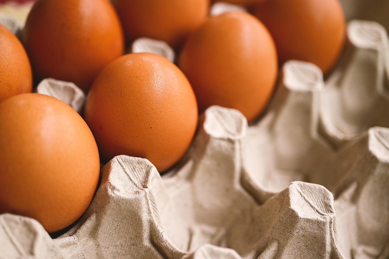 telur